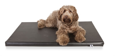 Bia Bed Bia-Bettmatratze Orthobett Schwarz